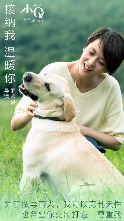 一比一仿诺顿. 拉德斯托克学院学位证